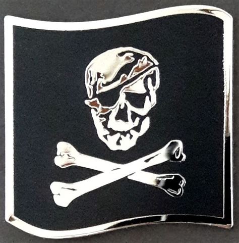 seal team 6 pirate skull.